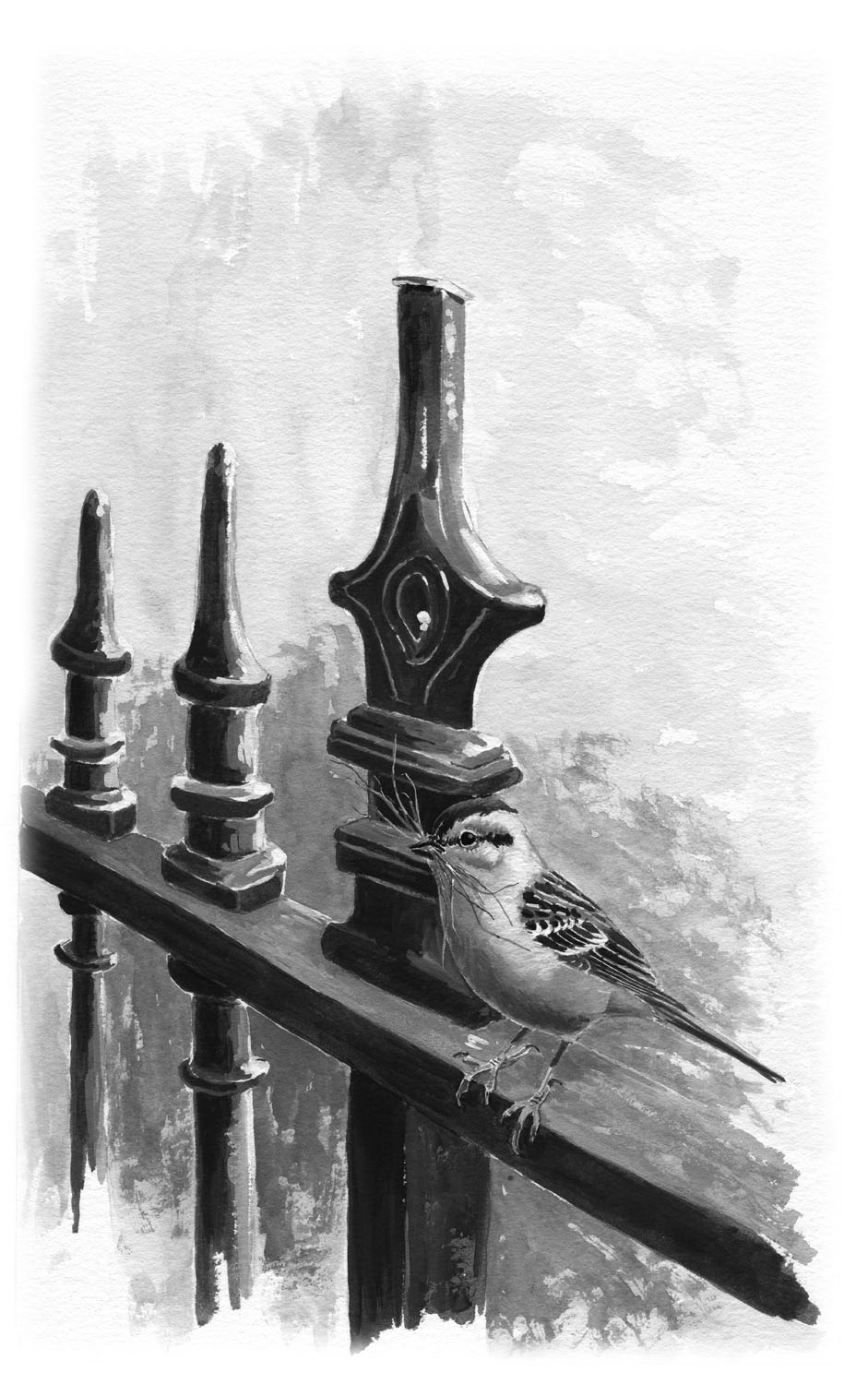 Chipping Sparrow