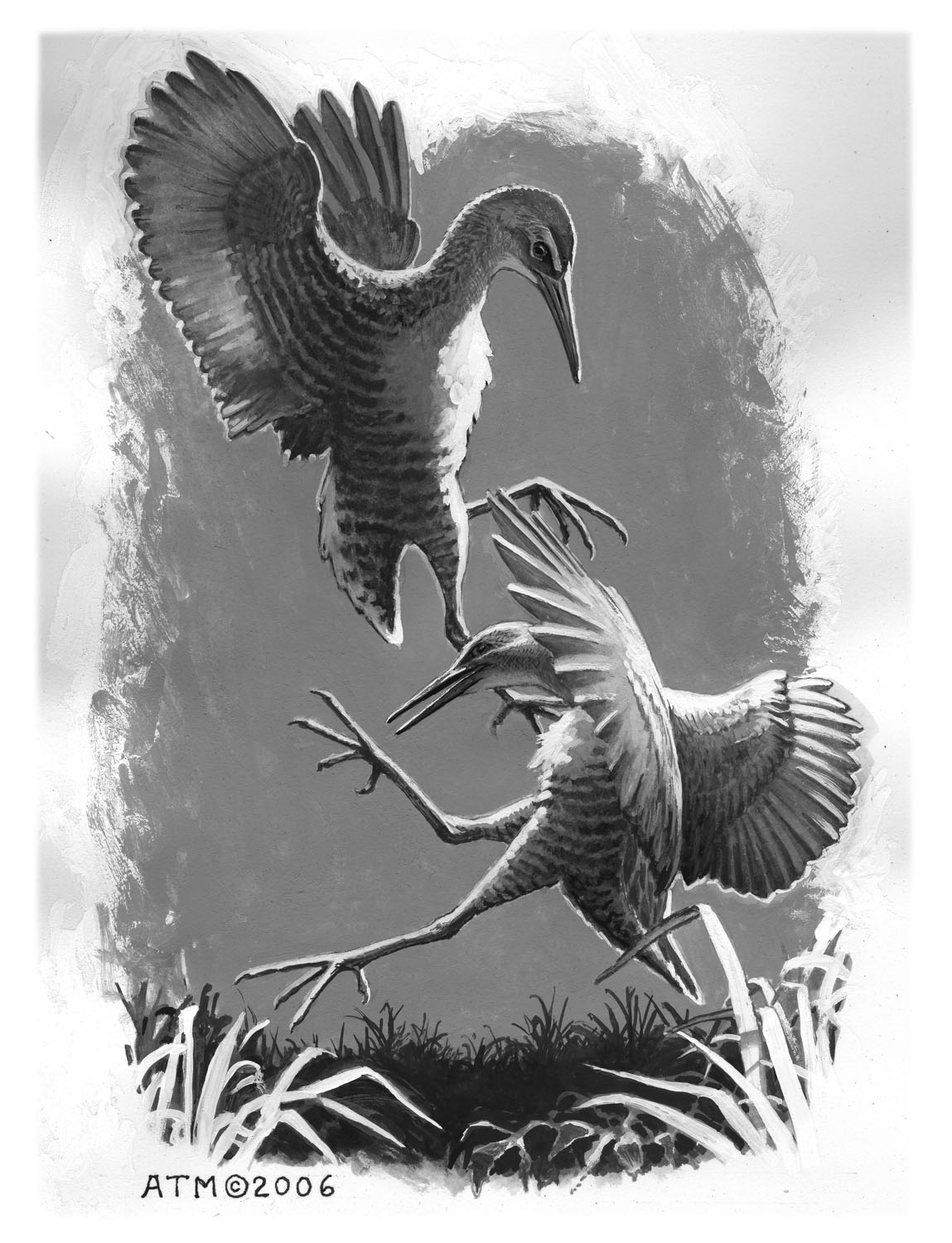 King Rail