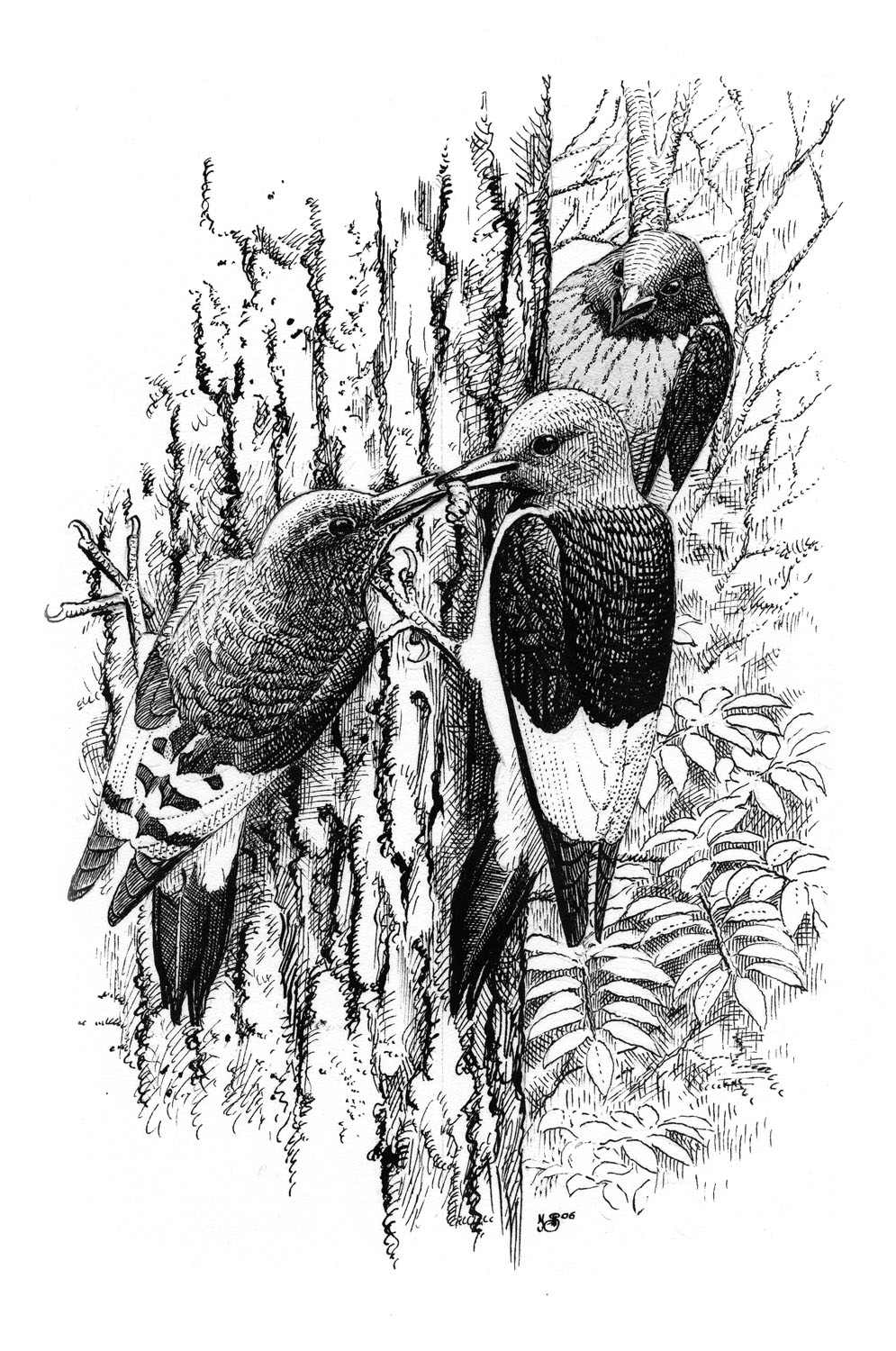 red-headed woodpecker