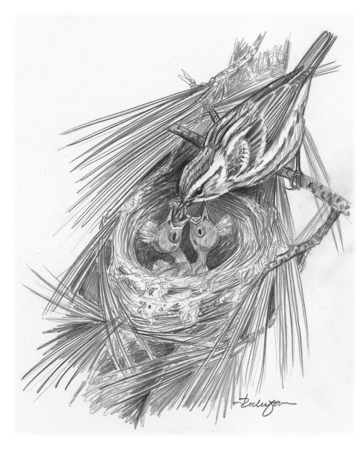 Blackburnian Warbler
