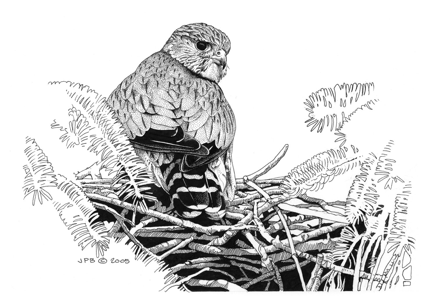 Merlin